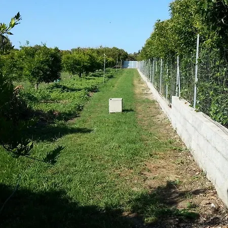 דירה Casa Di Campagna Vicino Al Mare אורוסיי